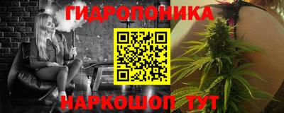 шишки Можайск